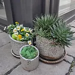 Litovel Hotel Komárno