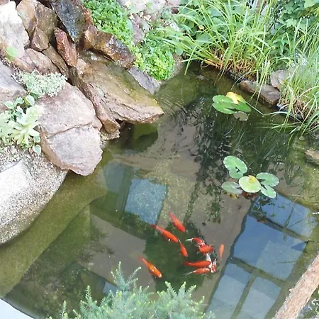 Litovel Hotel